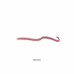 Crayon Rouge à Lèvres Lipstick - 2,8g - 1