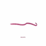 Crayon Rouge à Lèvres Lipstick - 2,8g - 1