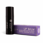 Lip Balm Neutre – Hydratant Naturel - 4,5 ml